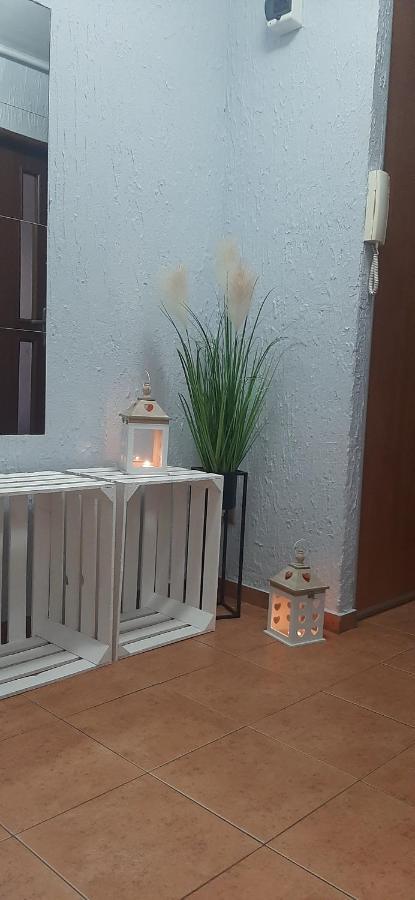 Flowers Apartament Appartement Piła Buitenkant foto
